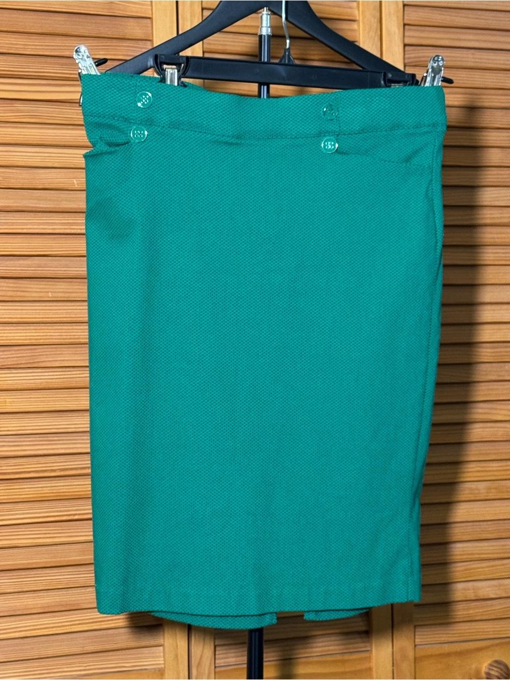 Women's Teal/Green Pencil Skirt with Buttoned Waist